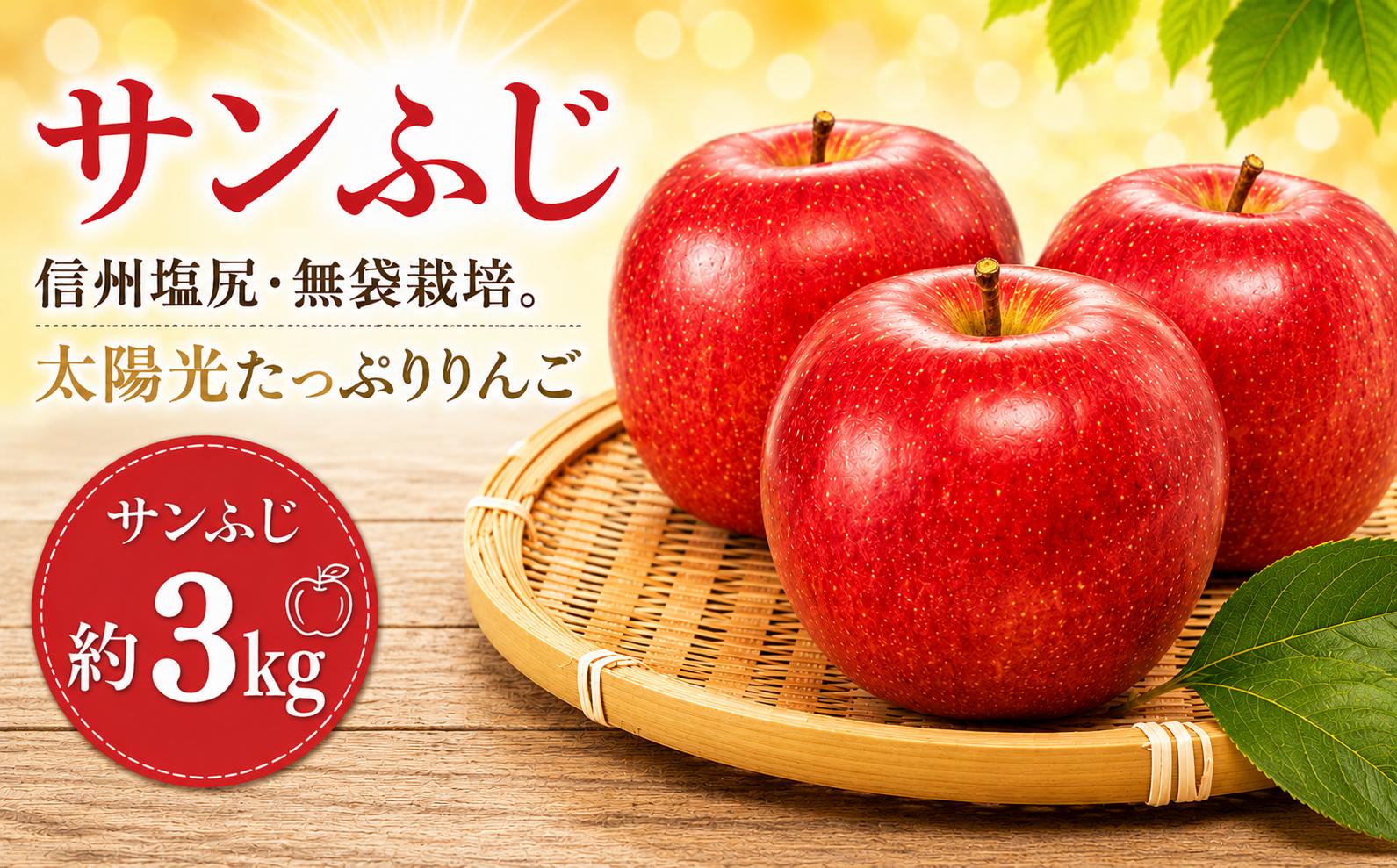 
                  【2026年先行予約】信州塩尻産 サンふじ 約3kg ｜ 先行受付 果物 くだもの フルーツ サンふじ りんご 赤 林檎 信州 長野県 塩尻市
                