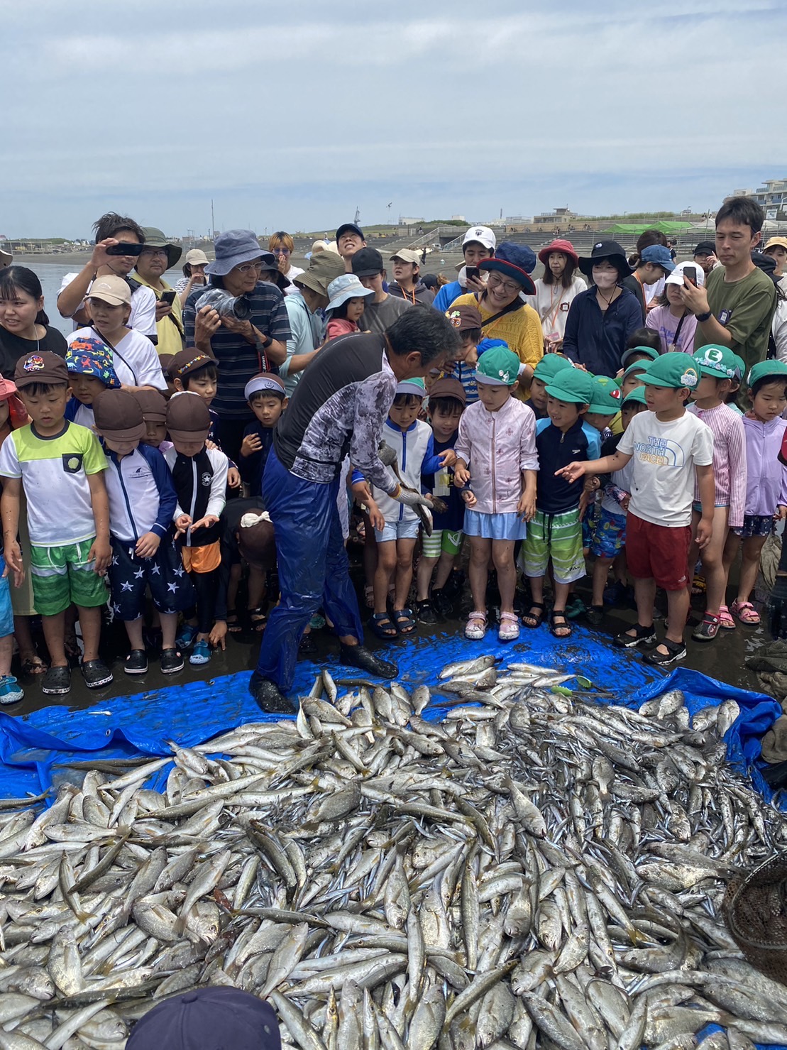 地引き網体験 ファミリー パック 大人2名 子ども1名～ 地引網 江の島 江ノ島 観光 魚 予約 アクティビティ レジャー 体験 マリンアクティビティ 体験学習 事前予約 自然 ふれあい おすすめ 体