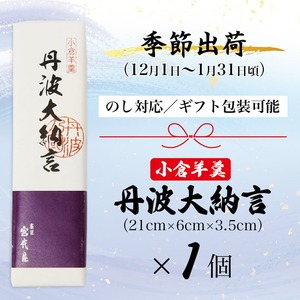 【12月～1月発送】 大納言羊羹 1本 小倉羊羹 丹波大納言 京都 綾部 和菓子 贈り物 ギフト 贈答 化粧箱 プレゼント スイーツ デザート 菓子 小豆 ようかん 羊羹 こし餡 あんこ 旬 新春 お