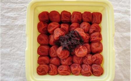  紀州南高梅　しそ梅（塩分13%）　4kg(2kg×2個） / 田辺市 紀州南高梅 南高梅 梅干し 梅干 梅  肉厚 お米 おにぎり 焼酎 梅酒 健康 【ske044-2】