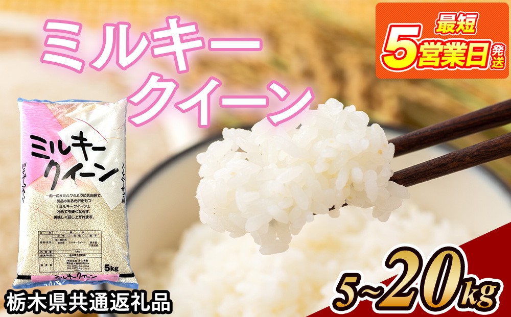 
                  【選べる内容量】米 ミルキークイーン 5kg/10kg/20kg 栃木県産【栃木県共通返礼品】
                