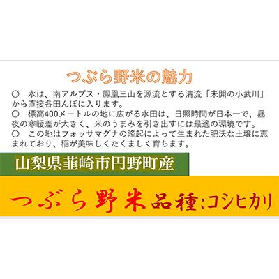 ふるさと納税 韮崎市 つぶら野米　コシヒカリ　6kg(白米3kg×2袋) |  | 01