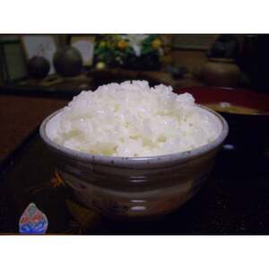 令和7年産千葉県産粒すけ精米5kg_お米 こめ おこめ 白米 コシヒカリ 粒すけ 国産 限定 ごはん ご飯 白飯 ゴハン_【1576623】