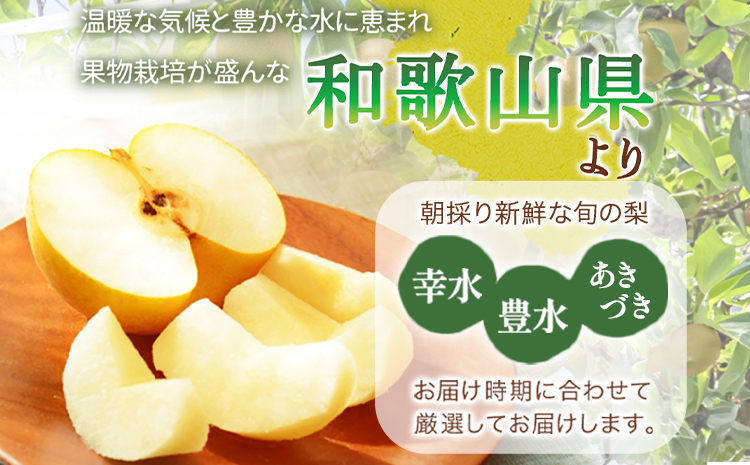 【先行予約】紀州和歌山県産の梨 約2kg 5～7玉 化粧箱入 魚鶴商店《8月中旬-9月上旬出荷》和歌山県 日高川町 和歌山県産 梨 なし ナシ 贈り物 ギフト(F)