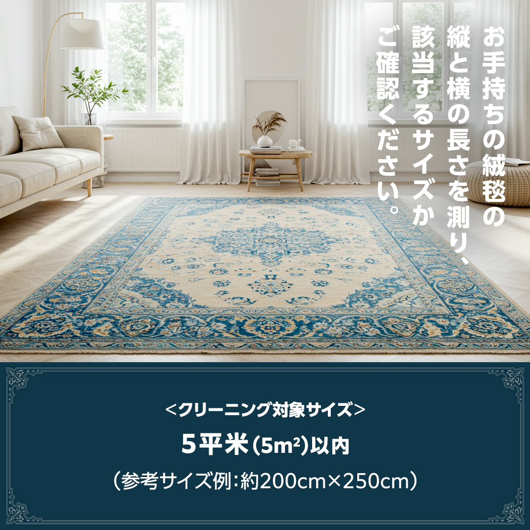 宅配 絨毯 クリーニング チケット │ しっかり水洗いケアコース（5平米以内）約200cm×250cm 宅配 クリーニング 洗濯 洗浄 清潔 じゅうたん ラグ カーペット 丸洗い マット ニオイ対策 