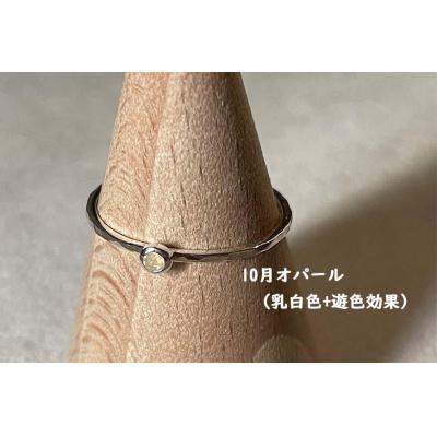 ふるさと納税 大府市 【プレゼント包装付き】誕生石リング(シルバー) |  | 01