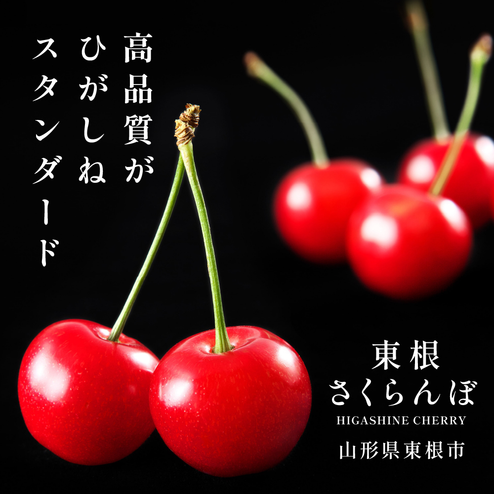 2025年 GI東根さくらんぼ「佐藤錦」1kgバラ詰め(500g×2ﾊﾟｯｸ) 東根農産センター提供 山形県 東根市 hi027-169-2