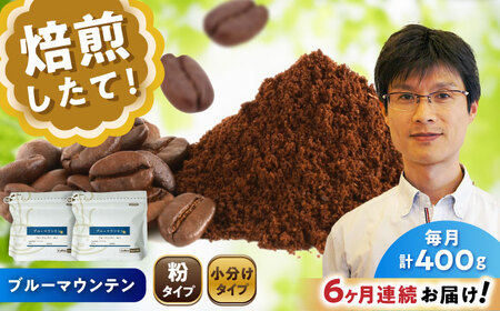 【全6回定期便】ブルーマウンテンNo.1　コーヒー粉　200g×2個(粉/中挽き)  / コーヒー  ドリップ  粉 / Coffee SAKURA[BBAB088]