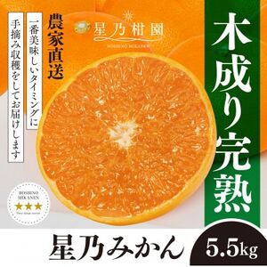 【三つ星ブランド】星乃みかん(5.5kg)【C45-99】【1652556】