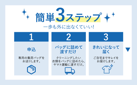 【撥水加工！最大1年間保管付！】衣類 クリーニング 10点｜クリーニング