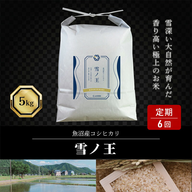 【ふるさと納税】6か月定期便 魚沼産コシヒカリ 雪ノ王 精米5kg×6回 お米 精米 こしひかり 定期 魚沼 新潟　お届け：寄附入金月の翌月より発送