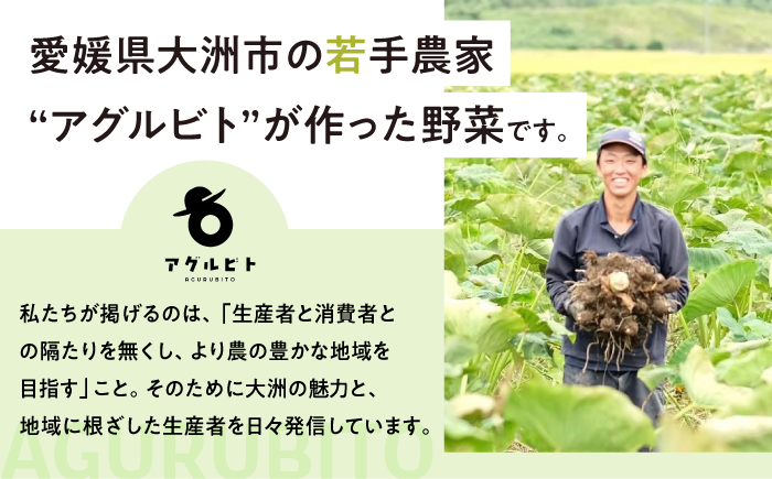 【全6回定期便】生産者の顔が見えるから安心して食べられる！毎回ちがう旬の農産物定期便　愛媛県大洲市/大洲市青年農業者協議会 [AGBL001]サラダ カレー 料理 収穫 ダイエット ヘルシー ブロッコ