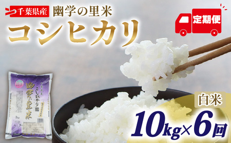 【定期便6回】 令和7年産 米 幽学の里米 コシヒカリ 10kg 【 コシヒカリ 】