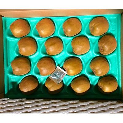 ふるさと納税 高松市 ご家庭用　さぬきゴールドキウイ 約3kg