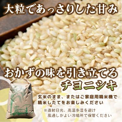 ふるさと納税 ひたちなか市 【先行予約・9月以降順次発送】令和7年産　新米チヨニシキ(玄米)10kg×1袋　茨城県ひたちなか市産 |  | 01