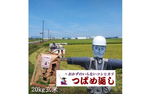 【令和8年産米予約受付中】おかずのいらないコシヒカリ「つばめ返し」玄米20kg FC049004