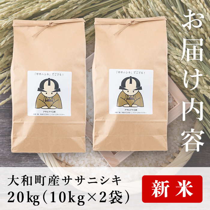 ≪新米予約≫＜令和6年10月から順次発送予定＞お米農家直送 ササニシキ20kg ta292【ろくすみファーム】