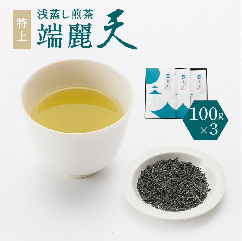 【ふるさと納税】鹿児島 特上 浅蒸し 煎茶 端麗天 3本 セット 日本茶 緑茶 茶葉 鹿児島茶 お茶 茶 ティー 浅蒸し煎茶 焙煎 甘み 上品 贈答品 贈り物 お土産 ギフト お取り寄せ 送料無料