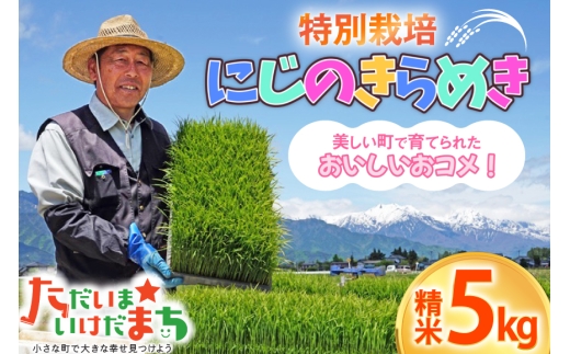 米 令和7年産 特別栽培 にじのきらめき 5kg [有限会社 咲耶 長野県 池田町 48110832] こめ お米 コメ kome 特別栽培 5キロ 新米 令和7年 令和7年度産