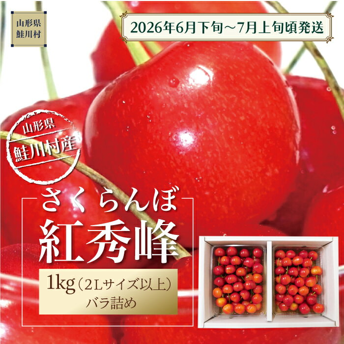 【ふるさと納税】【令和8年産 早期受付】 鮭川村産さくらんぼ ＜紅秀峰＞ 特秀2Lサイズ以上バラ詰め 1kg（500g×2P）