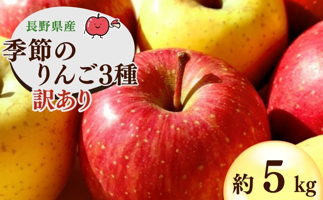 
                  【2026年先行予約】千曲市産りんご 季節のりんご3種 約5kg 訳あり 家庭用 | 林檎 リンゴ アップル 果物 くだもの フルーツ 5キロ わけあり 訳アリ お取り寄せ 産地直送 長野県産 信州林檎 信州りんご 信州 長野 千曲市
                
