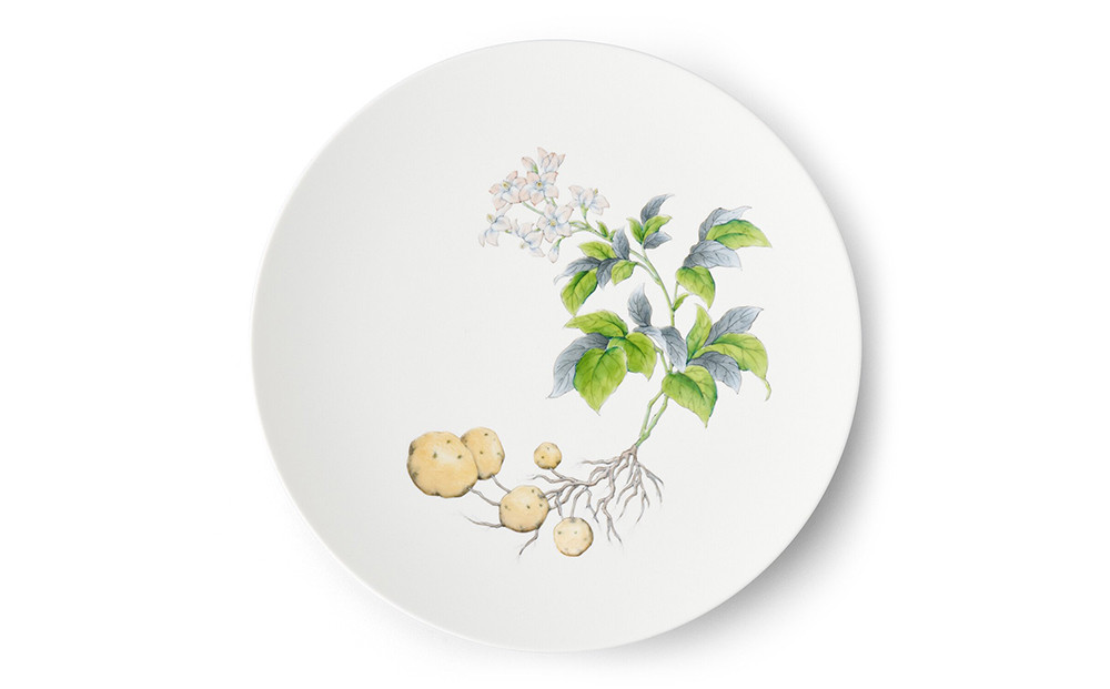 
【伊万里焼/畑萬陶苑】Restaurant MAISON（Paris）φ29cm Plate〈Potatoes〉
