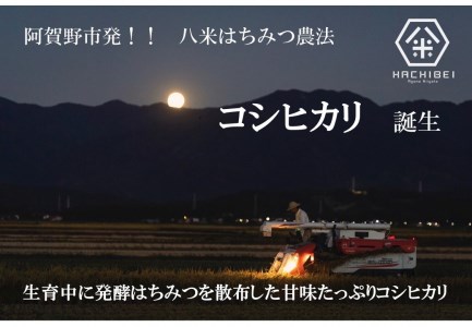 【令和6年産新米予約】【グッドライフアワード環境大臣賞受賞】 連続6ヶ月定期便 無洗米 コシヒカリ 10kg×6回 計60kg ほんのり甘い「はちみつ農法」 白米 精米  10月上旬より順次発送予定 