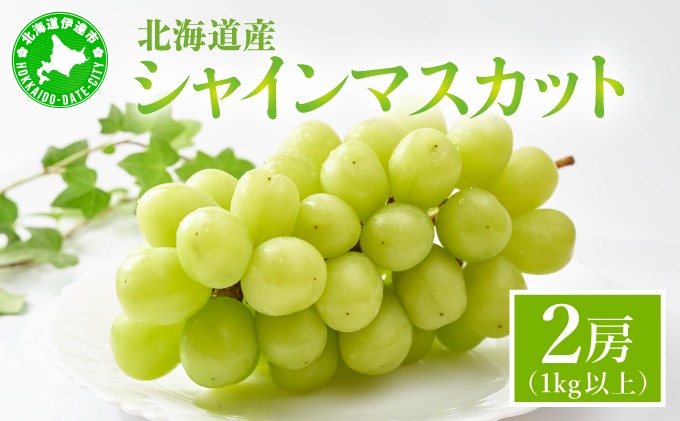 シャインマスカット 2房（1kg以上）化粧箱入り