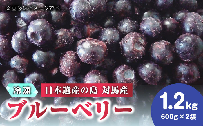 
            【先行予約】大容量 対馬産 ブルーベリー 1.2kg（ 冷凍 ）【2025年7月上旬以降順次発送】【 さほの里ファーム 】《 対馬市 》 有機 旬 果物 フルーツ [WBG001]
          