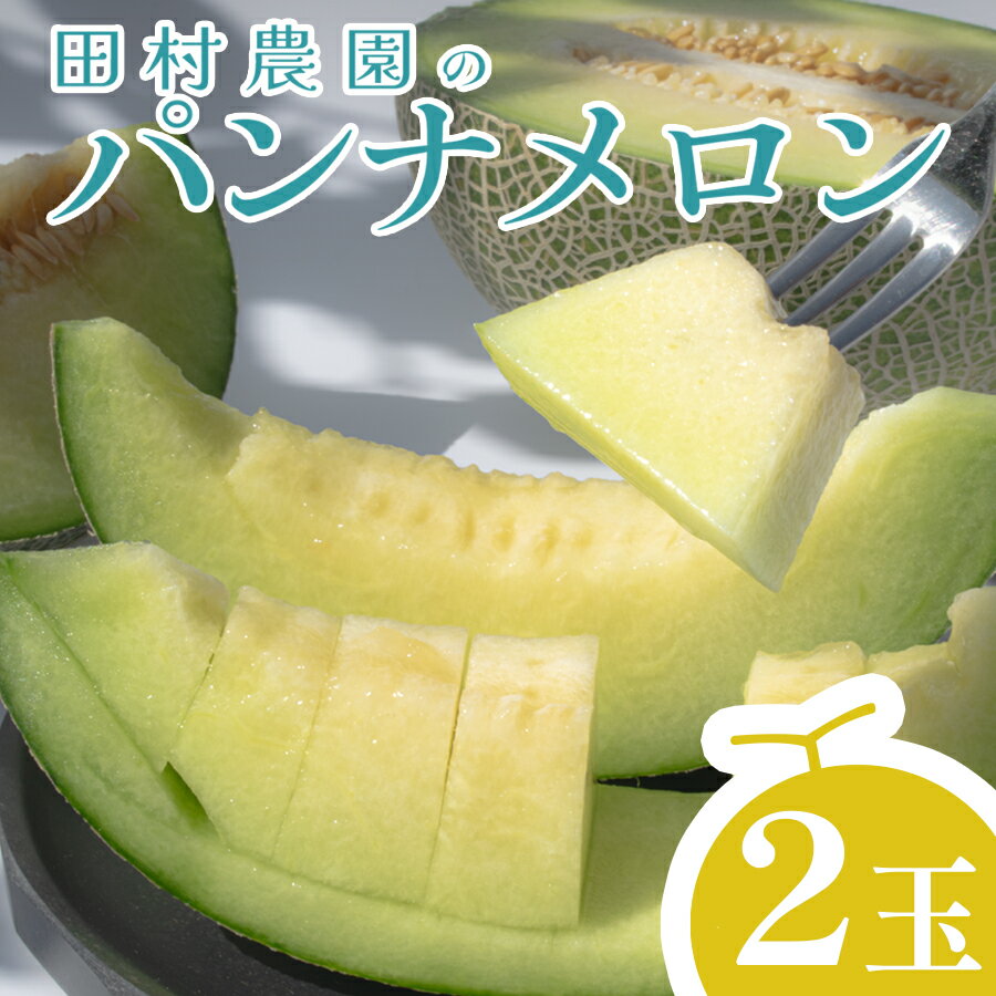 【ふるさと納税】【高知県 大月町産】田村農園のパンナメロン　2玉