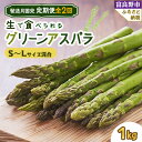 【ふるさと納税】【発送月固定定期便】北海道富良野産　生で食べられるアスパラ　5月・6月発送全2回【配送不可地域：離島】【4053237】