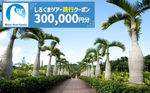 【沖縄市】しろくまツアーで利用可能なWEB旅行クーポン (30万円分) 沖縄旅行 観光 ツアー トラベルクーポン 電子クーポン 300000円 沖縄市 / 株式会社ホワイト・ベアーファミリー [BCAV008]