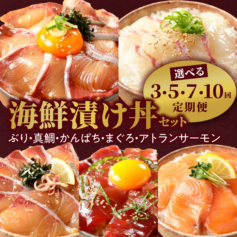 【ふるさと納税】リピーター続出 海鮮漬け丼 定期便 選べる セット 3 ~ 10回 鮮度抜群 ぶり 真鯛 かんぱち まぐろ サーモン 漬け丼 タレ 漬け 海鮮丼 魚 バラエティ 簡単 便利 小分け 個包装 刻み海苔 流水解凍 5分 日向灘 九州 宮崎県 延岡市 冷凍 お取り寄せ 送料無料