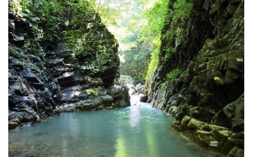 御所山から流れ出る清冽な水