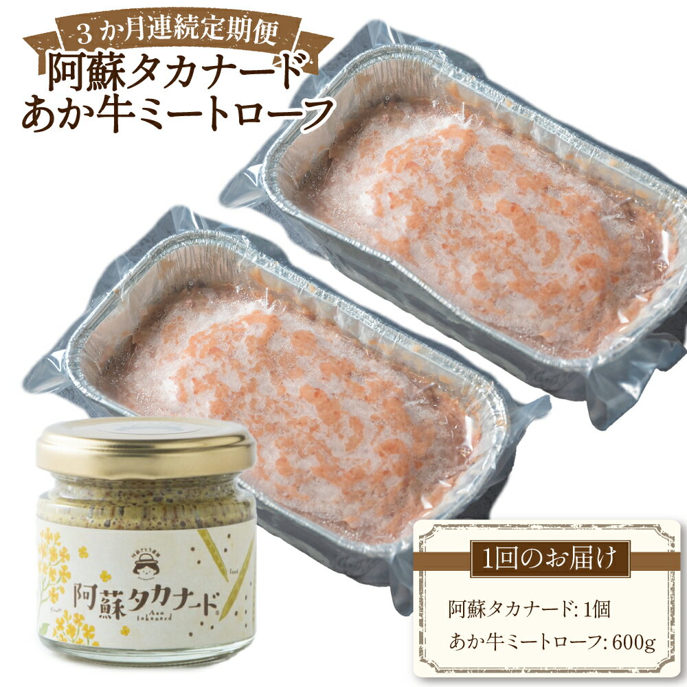 【ふるさと納税】【3か月連続定期便】阿蘇タカナード（70g）+あか牛ミートローフ（計600g（300g×2）） セット 1回あたり計670g 計2010g（600g×3回） 1ヶ月毎 3回 マスタード 阿蘇高菜の種 米酢 牛肉 お肉 惣菜 調味料 冷凍 熊本県産 国産 九州 熊本県 送料無料