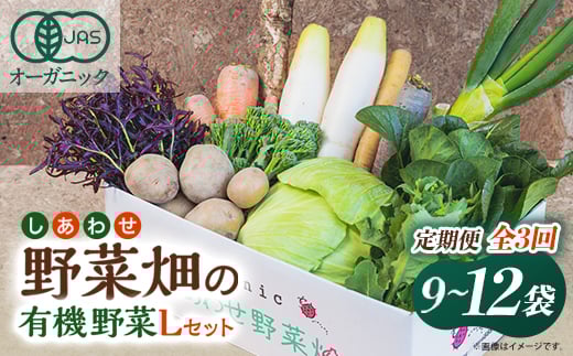＜毎月定期便＞しあわせ野菜畑の有機野菜　Lセット　(安心の有機JAS認証　オーガニック野菜)全3回【4066011】
