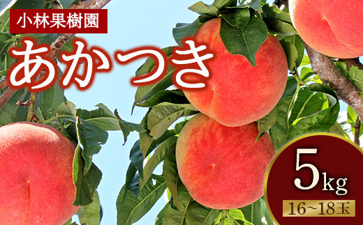 
福島県産 あかつき 5kg 2024年7月下旬～2024年8月上旬発送 先行予約 予約 伊達の桃 桃 もも モモ 果物 くだもの フルーツ 名産品 国産 食品 F20C-591
