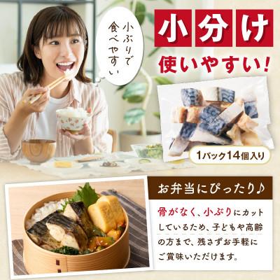 ふるさと納税 京丹後市 レビューキャンペーン!【入金確認後最短5日以降出荷】【訳あり】魚屋の味付け骨取り塩サバお手軽56切れ |  | 02