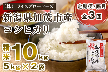 【令和8年産新米先行予約】【定期便3回隔月お届け】新潟県加茂市産コシヒカリ 精米10kg（5kg×2）《10月上旬～順次出荷》 白米 （株）ライスグローワーズ