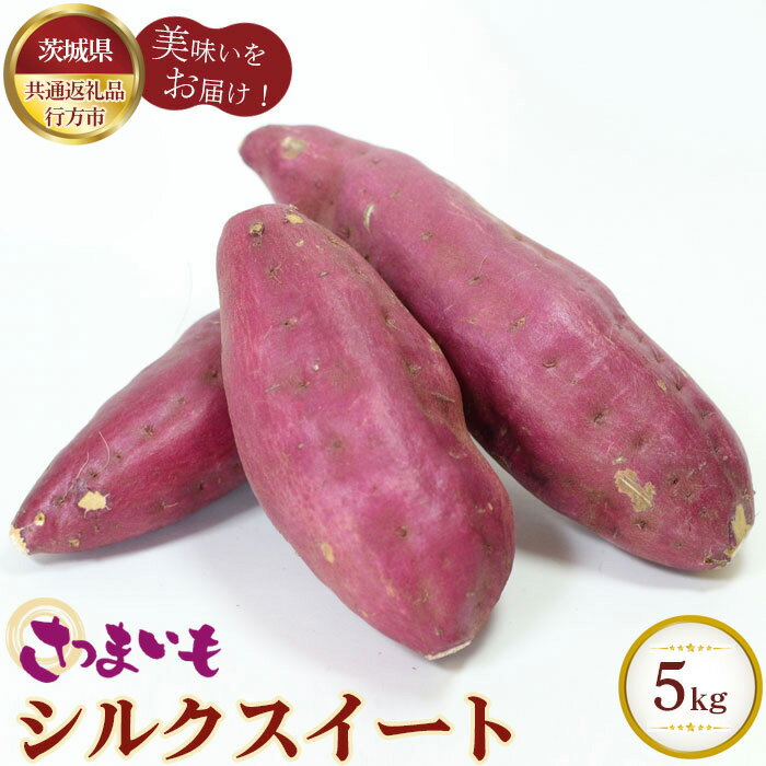 【ふるさと納税】No.329 さつまいも　シルクスイート　約5kg【茨城県共通返礼品 行方市】 ／ 旬 新鮮 さつま芋 サツマイモ 野菜 送料無料 茨城県