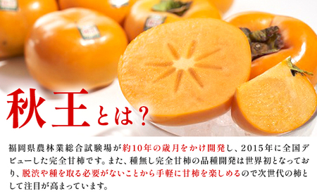 柿 秋王 約1.5kg（4-6玉） 南国フルーツ株式会社 【26年度出荷】《10月下旬-11月末頃出荷》福岡県 小竹町 福岡県産 柿 フルーツ 果物