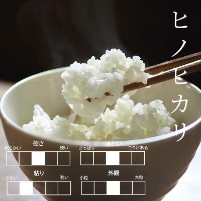 ふるさと納税 小城市 【令和7年産】佐賀県認定 「農薬:栽培期間中不使用」 無洗米 ヒノヒカリ(5kg) |  | 01