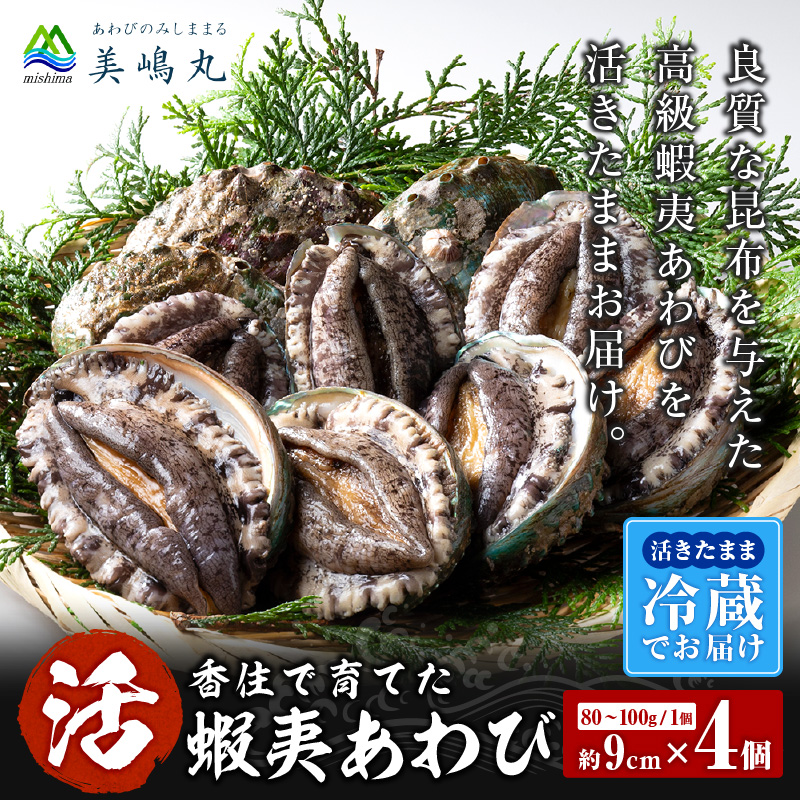 【冷蔵 活あわび 養殖 9cm×4枚 320～400g (1個80～100g）】満点青空レストラン うまい！おせち2023に採用されました 新鮮  日本海 養殖 香美町 香住 山陰 鮑 活アワビ 海鮮 お刺身 美嶋丸 21000円  20-02