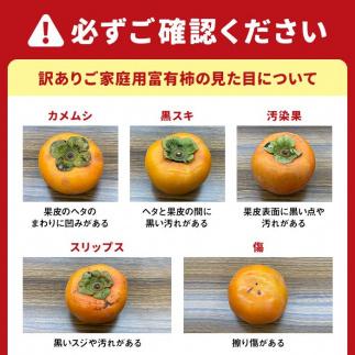 【2025年11月上旬以降発送】◆先行予約◆和歌山県産 富有柿＜ご家庭用＞約7.5kg 満杯詰め［MG2］