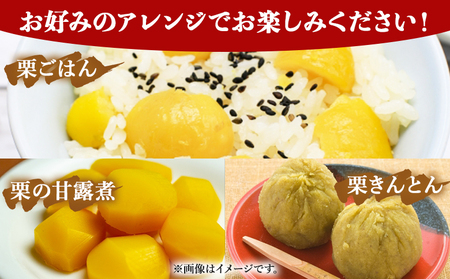 ＜完熟栗 約1kg（2Lまたは3Lサイズ）愛媛県西予市産＞ クリ くり 果物 フルーツ マロン モンブラン 栗ご飯 栗きんとん 栗の甘露煮 特産品 国産 秋の味覚 食べて応援 宇都宮物産 愛媛県 西予