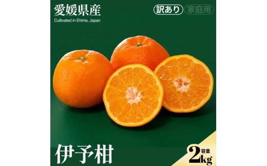 ＜伊予柑（訳あり）合計約2kg＞『2027年1月上旬～1月下旬迄に順次出荷予定』訳アリ わけあり いよかん イヨカン 濃厚 蜜柑 ミカン 果汁 果物 くだもの フルーツ 柑橘 あまい 甘い 季節 旬の果物 特産品 お取り寄せ NOT FARM 愛媛県 西予市 【常温】