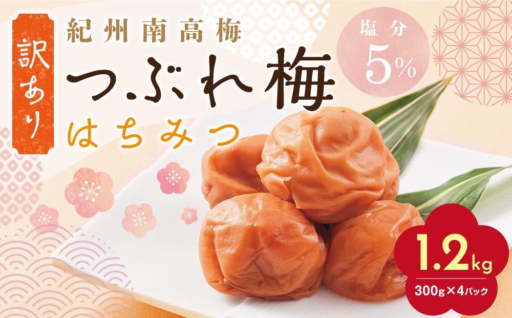 
            【定期便4回 2ヶ月に1回】紀州南高梅 訳あり はちみつ梅 塩分5％ 1.2kg（300g×4パック）
          