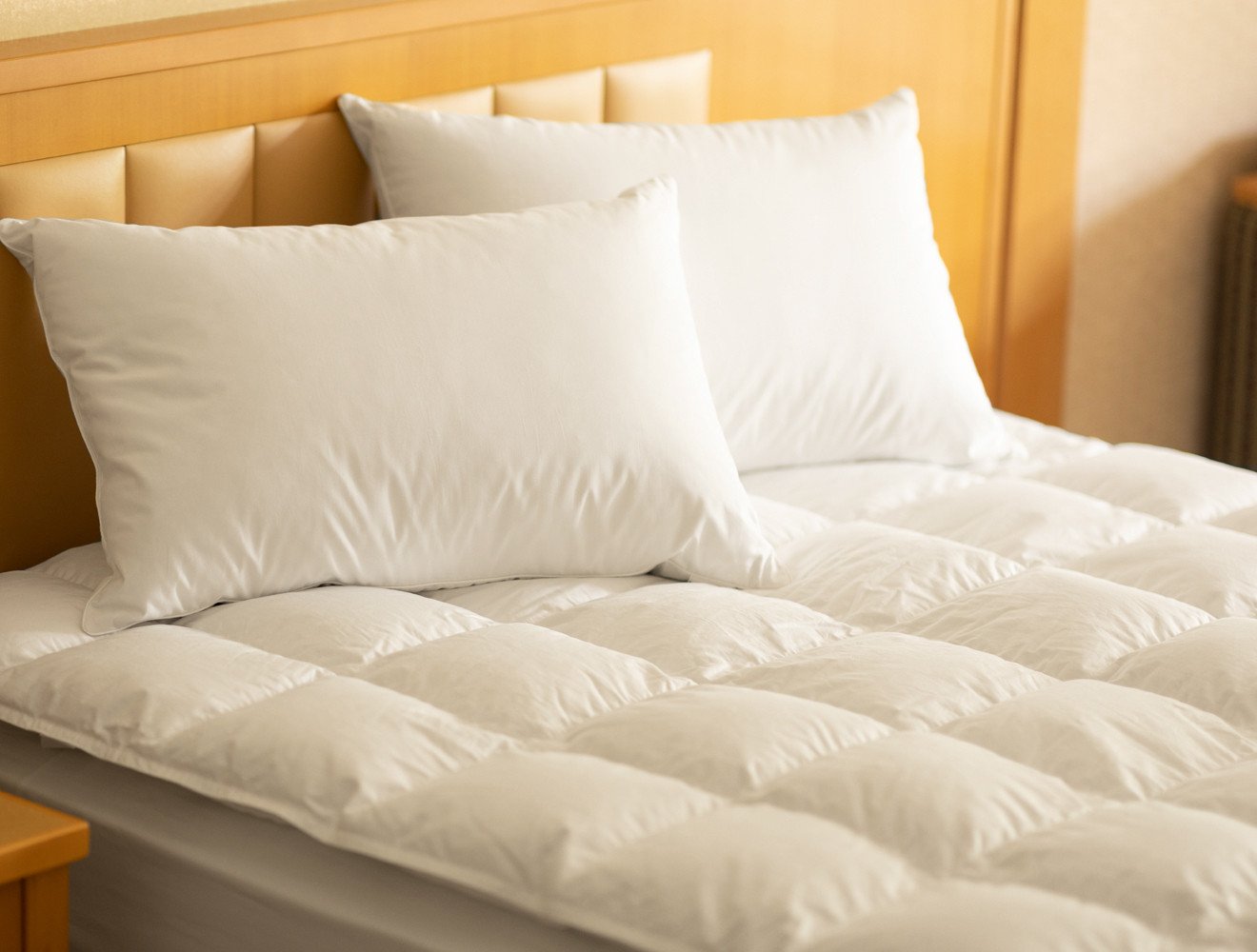 ダウンパッド（羽毛敷きパッド） クイーン［サステナブルなダウン×抗菌防臭生地］ 【1330】