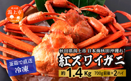 【3月以降順次発送】紅ズワイガニ 冷凍 2匹 1.4kg【安田水産】