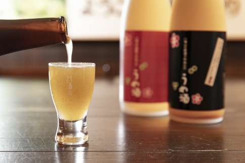 八海山の焼酎で仕込んだ「にごりうめ酒」一升瓶（1800ml）【2026年1月より順次発送予定】